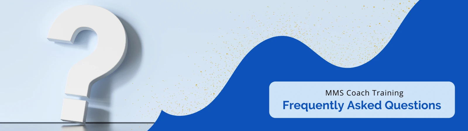 mms-faq-banner About MMS Institute